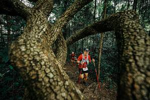 BIB: 
                            <button type="button" onclick="openModal(25669387)" class="btn btn-primary btn-sm float-right btn-popup" data-toggle="modal" data-target=".modal-high-quality">
                        <i class="fas fa-shopping-cart"></i> Add to Cart
                    </button>
                                            <button type="button" onclick="isThisMe(25669387, true)" class="btn btn-success btn-sm float-right btn-popup btn-isme hidden" data-toggle="tooltip" data-placement="bottom" title="นี่คือรูปของคุณใช่ไหม คลิกที่นี่เพื่อเอาเข้าอัลบั้ม">
                        <i class="fas fa-plus"></i> Add to album
                    </button>
                    <button type="button" onclick="isThisMe(25669387, false)" class="btn btn-warning btn-sm float-right btn-popup btn-isnotme hidden">
                        <i class="fas fa-ban"></i> Remove from album
                    </button>